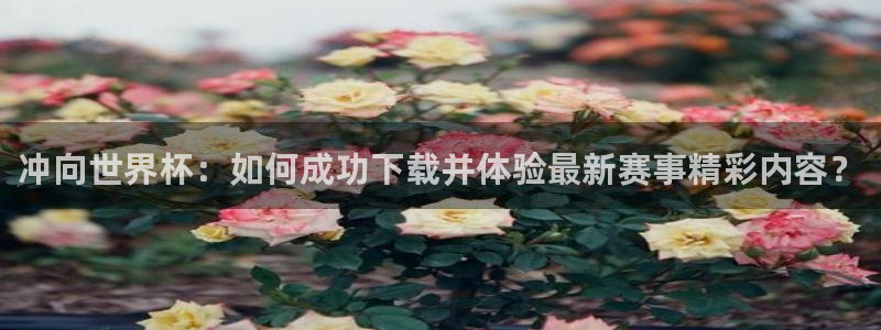 世预赛欧洲赛程表:冲向世界杯:如何成功下载并体验最新赛事精彩内容?