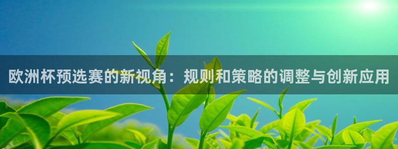 世界杯直播免费观看：欧洲杯预选赛的新视角：规则和策略的调整与创新应用