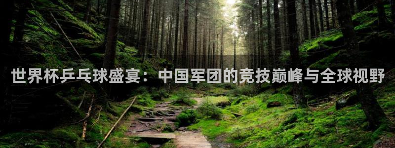 欧洲世界杯预选赛赛程：世界杯乒乓球盛宴：中国军团的竞技巅峰与全球视野