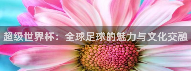 世界杯比赛直播：超级世界杯：全球足球的魅力与文化交融