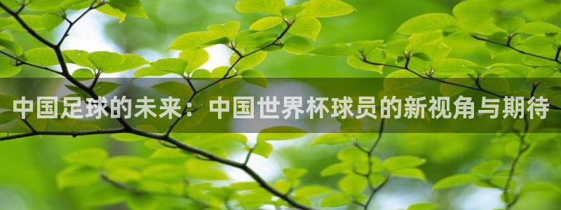 英足总杯直播：中国足球的未来：中国世界杯球员的新视角与期待