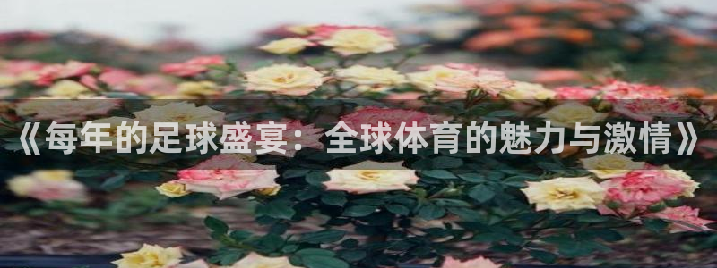 世界杯预选赛欧洲赛区赛程：《每年的足球盛宴：全球体育的魅力与激情》