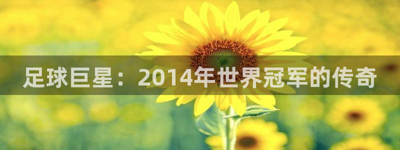 世界杯女足直播：足球巨星：2014年世界冠军的传奇