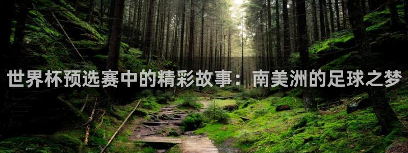 2026世界杯直播：世界杯预选赛中的精彩故事：南美洲的足球之梦