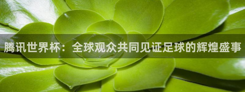 世界杯预选赛欧洲：腾讯世界杯：全球观众共同见证足球的辉煌盛事