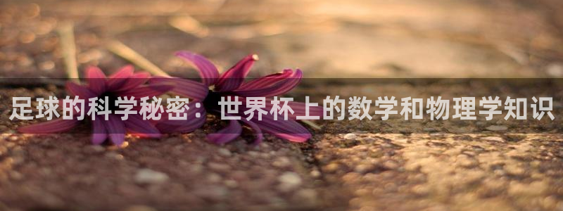 足球世预赛：足球的科学秘密：世界杯上的数学和物理学知识